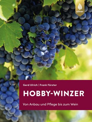 cover image of Hobby-Winzer